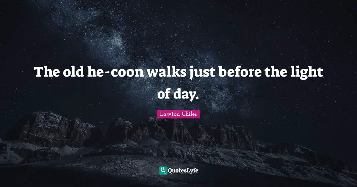The old he-coon walks just before the light of day.