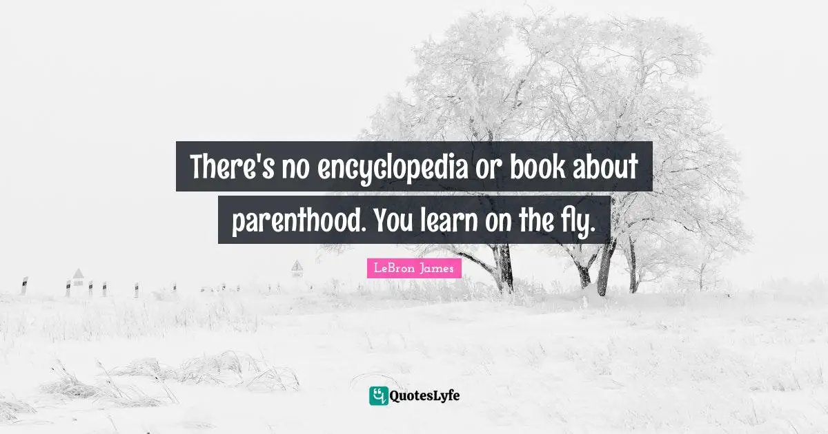 There's no encyclopedia or book about parenthood. You learn on the fly.