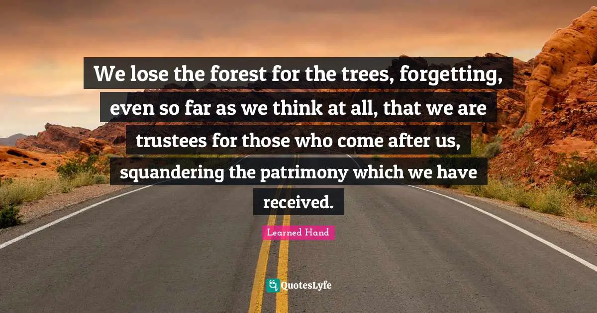 We lose the forest for the trees, forgetting, even so far as we think at all, that we are trustees for those who come after us, squandering the patrimony which we have received.