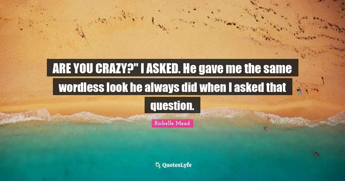 Fantasy Young Adult Quotes: "ARE YOU CRAZY?" I ASKED. He gave me the same wordless look he always did when I asked that question."