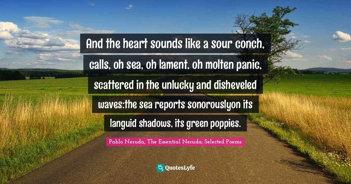 And the heart sounds like a sour conch, calls, oh sea, oh lament, oh molten panic, scattered in the unlucky and disheveled waves:the sea reports sonorouslyon its languid shadows, its green poppies.
