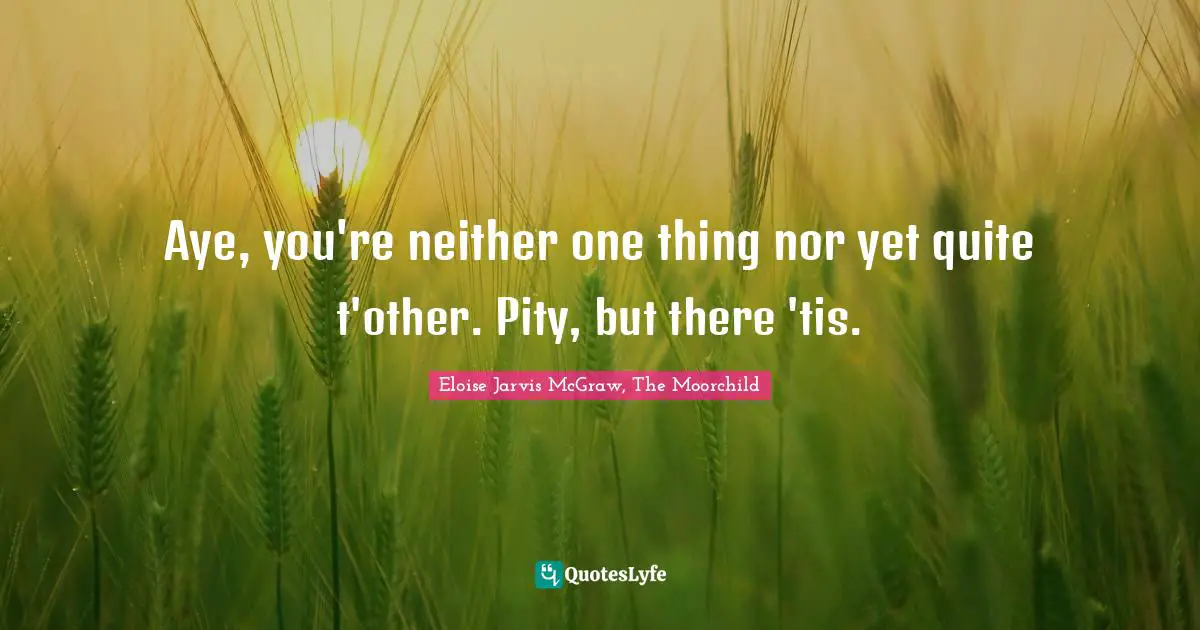Aye, you're neither one thing nor yet quite t'other. Pity, but there 'tis.
