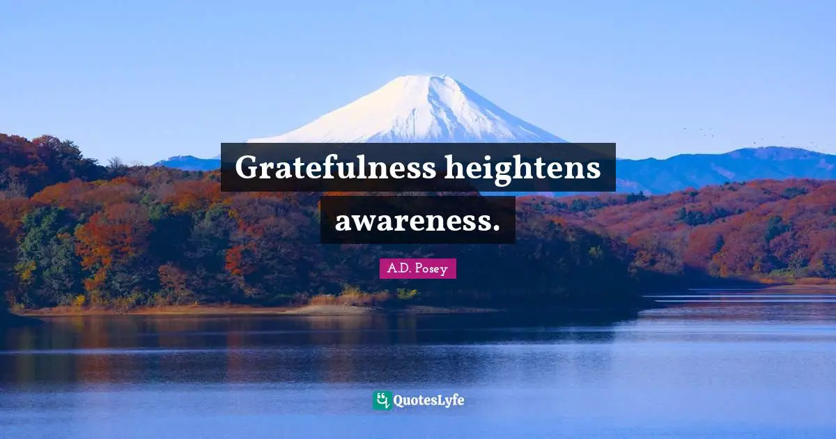 Gratefulness heightens awareness.