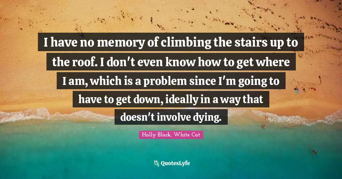 I have no memory of climbing the stairs up to the roof. I don't even know how to get where I am, which is a problem since I'm going to have to get down, ideally in a way that doesn't involve dying.