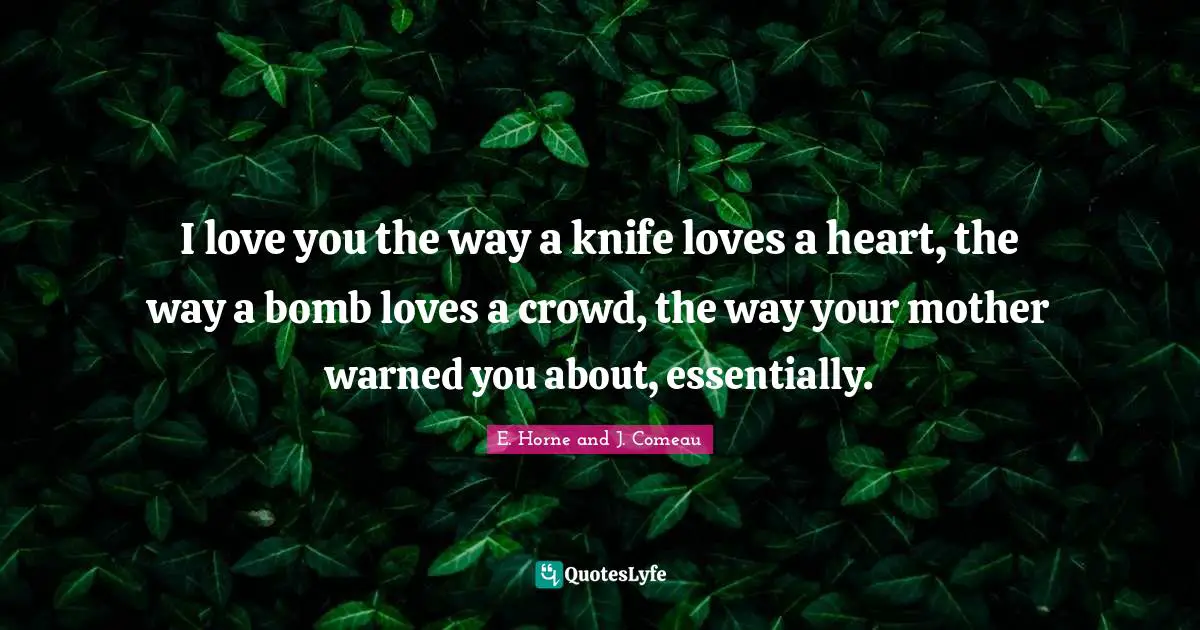 I love you the way a knife loves a heart, the way a bomb loves a crowd, the way your mother warned you about, essentially.