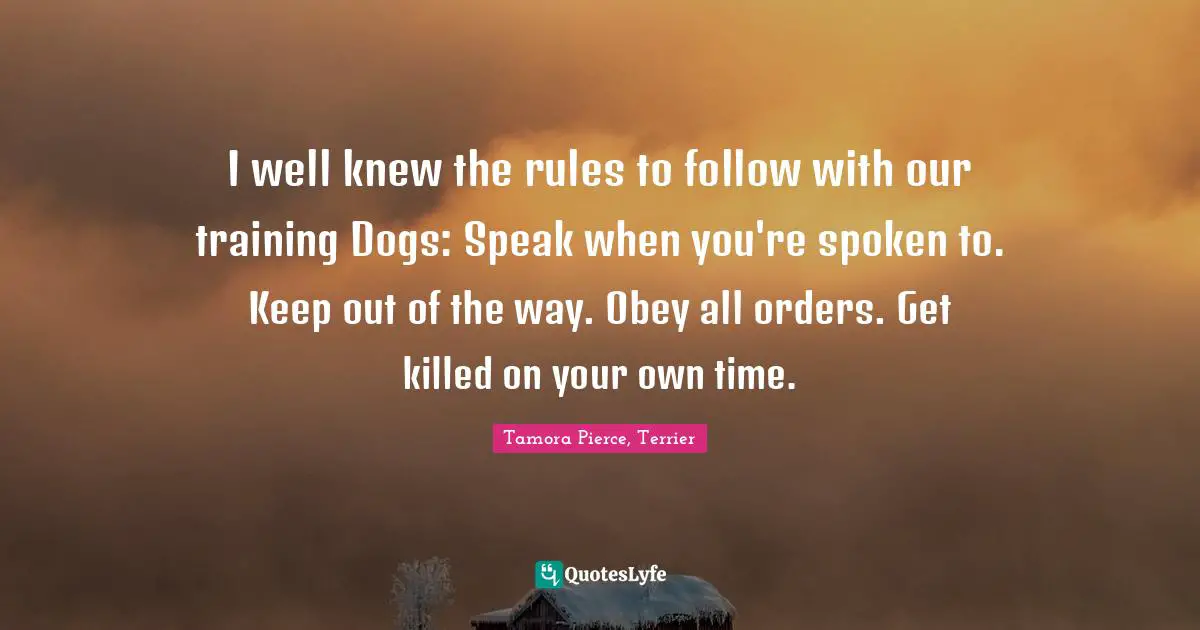 I well knew the rules to follow with our training Dogs: Speak when you're spoken to. Keep out of the way. Obey all orders. Get killed on your own time.