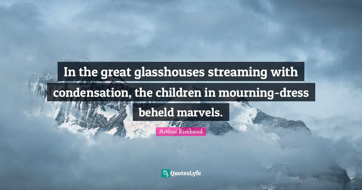 In the great glasshouses streaming with condensation, the children in mourning-dress beheld marvels.