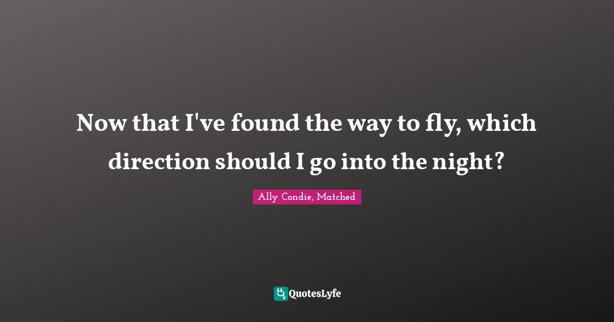 Now that I've found the way to fly, which direction should I go into the night?