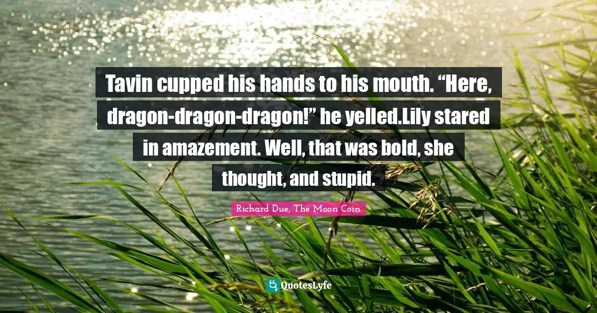 Tavin cupped his hands to his mouth. “Here, dragon-dragon-dragon!” he yelled.Lily stared in amazement. Well, that was bold, she thought, and stupid.