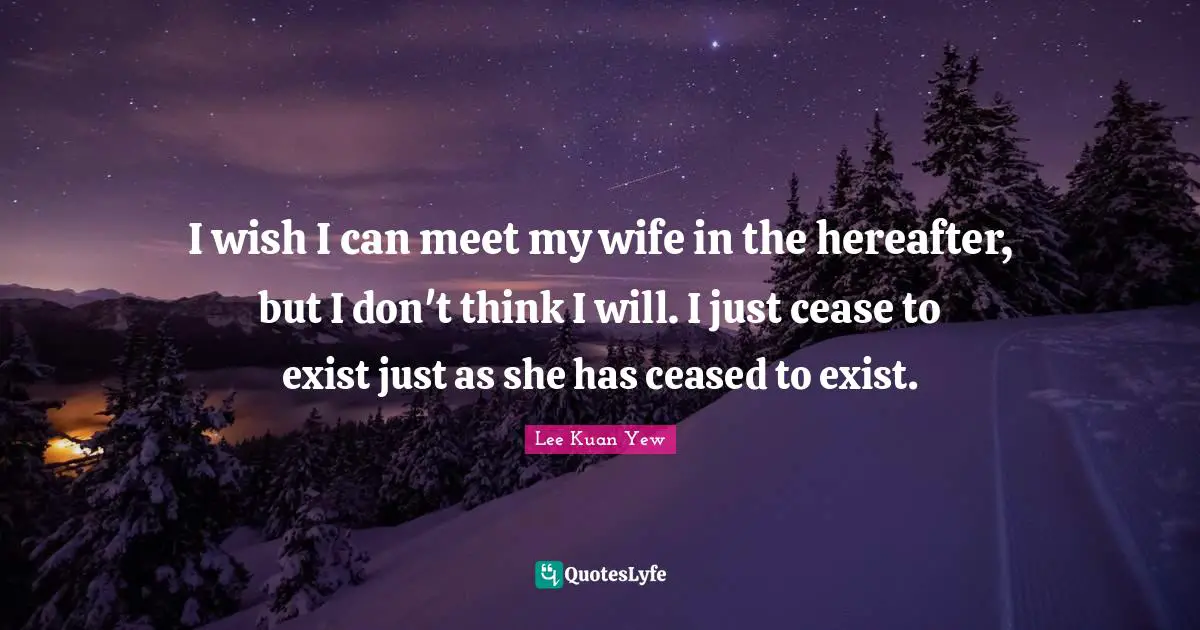 I wish I can meet my wife in the hereafter, but I don't think I will. I just cease to exist just as she has ceased to exist.