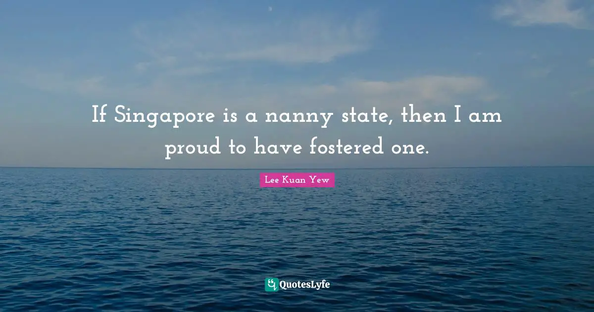 If Singapore is a nanny state, then I am proud to have fostered one.