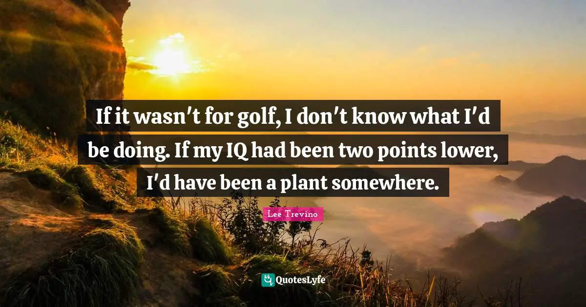 If it wasn't for golf, I don't know what I'd be doing. If my IQ had been two points lower, I'd have been a plant somewhere.