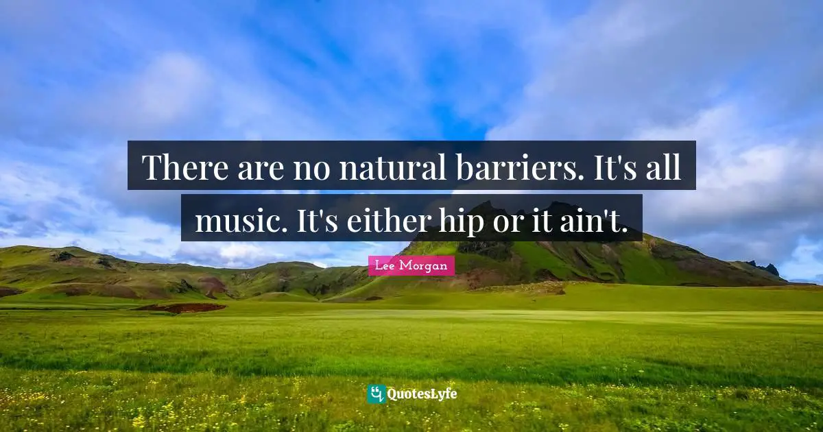 There are no natural barriers. It's all music. It's either hip or it ain't.