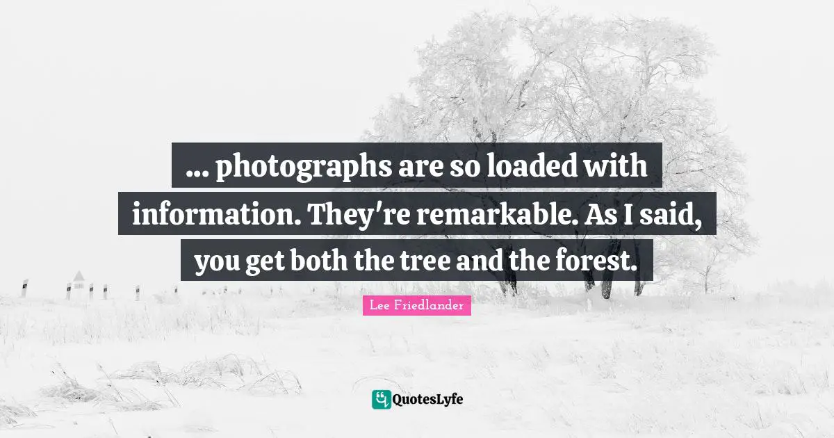 Lee Friedlander Quotes: "... photographs are so loaded with information. They're remarkable. As I said, you get both the tree and the forest."