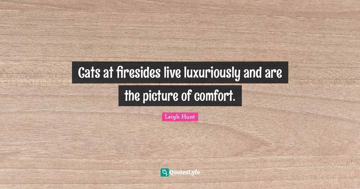 Cats at firesides live luxuriously and are the picture of comfort.