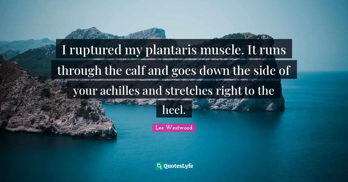 I ruptured my plantaris muscle. It runs through the calf and goes down the side of your achilles and stretches right to the heel.