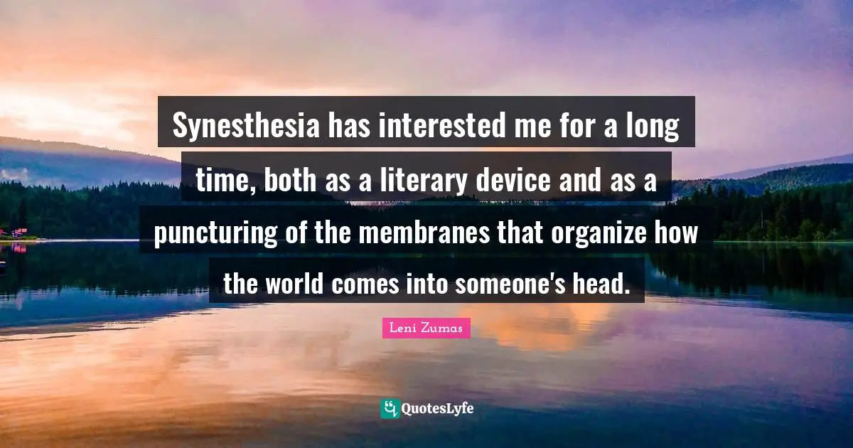 Synesthesia has interested me for a long time, both as a literary device and as a puncturing of the membranes that organize how the world comes into someone's head.