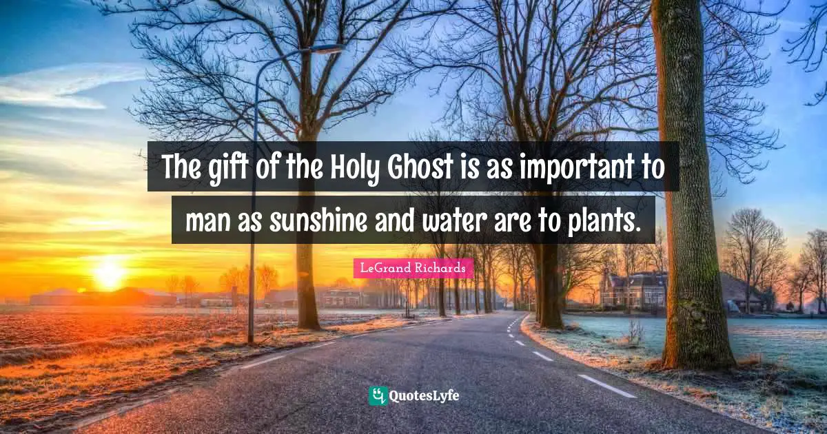 Holy Ghost Quotes: "The gift of the Holy Ghost is as important to man as sunshine and water are to plants."