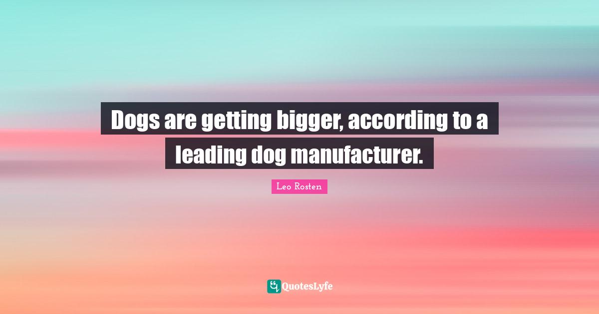 Dogs are getting bigger, according to a leading dog manufacturer.