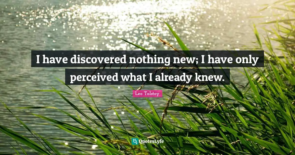 Nothing New Quotes: "I have discovered nothing new; I have only perceived what I already knew."