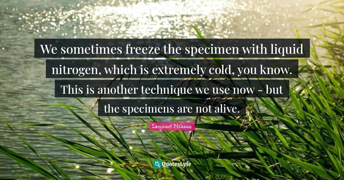 Liquid Quotes: "We sometimes freeze the specimen with liquid nitrogen, which is extremely cold, you know. This is another technique we use now - but the specimens are not alive."