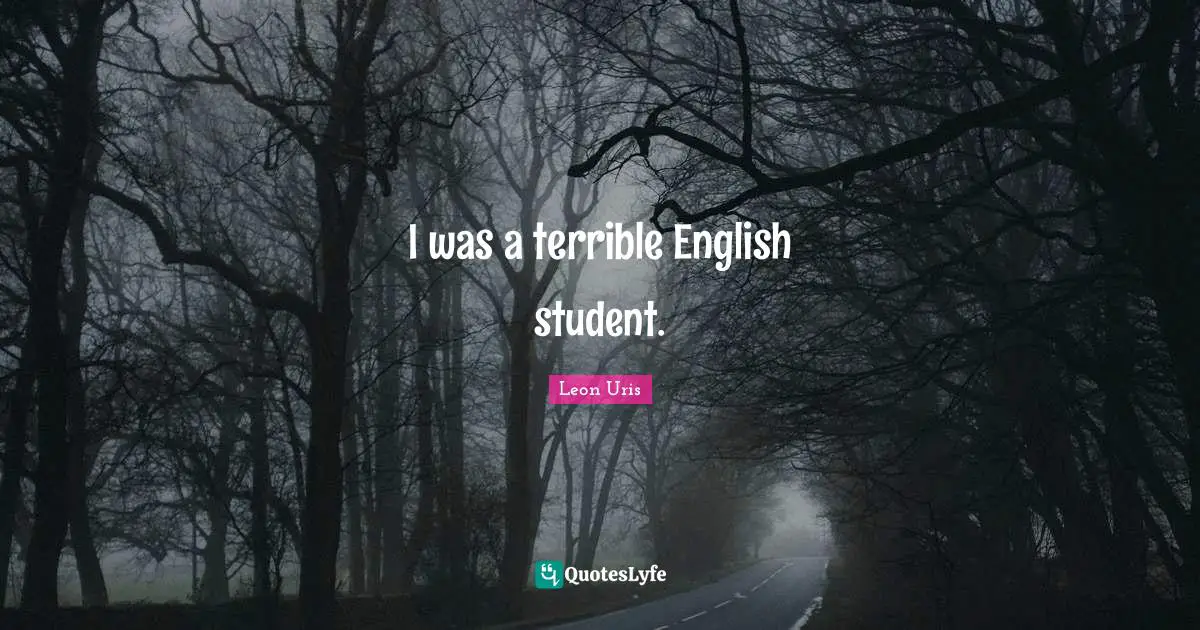 I was a terrible English student.