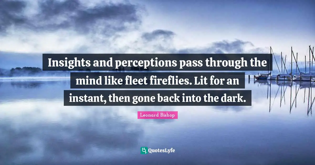 Insights and perceptions pass through the mind like fleet fireflies. Lit for an instant, then gone back into the dark.