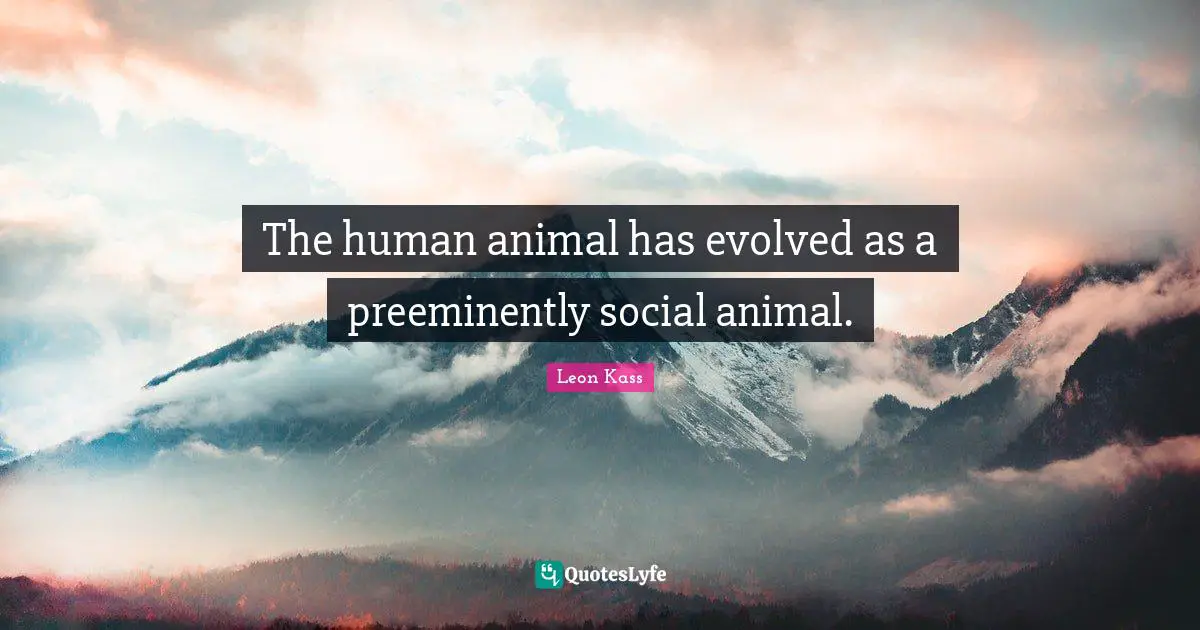 Leon Kass Quotes: "The human animal has evolved as a preeminently social animal."