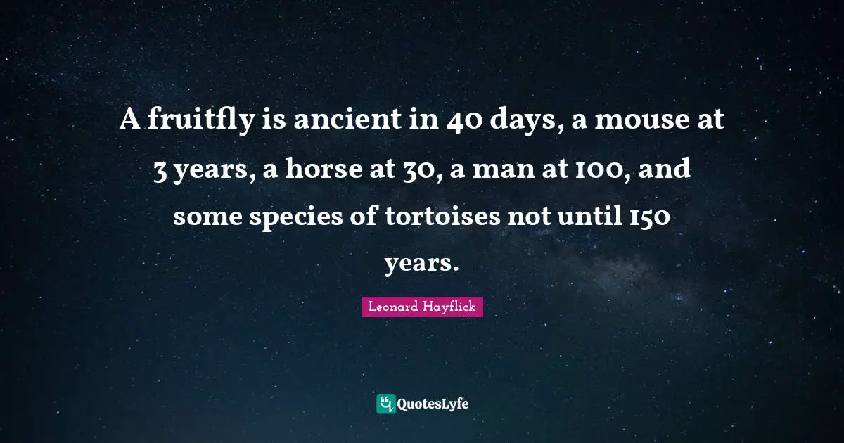 A fruitfly is ancient in 40 days, a mouse at 3 years, a horse at 30, a man at 100, and some species of tortoises not until 150 years.