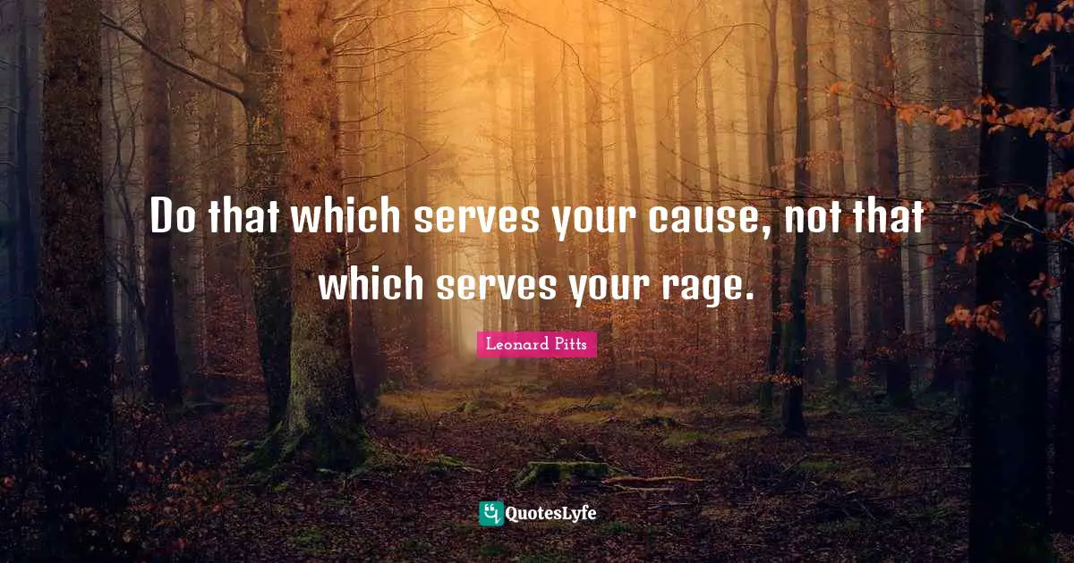 Do that which serves your cause, not that which serves your rage.