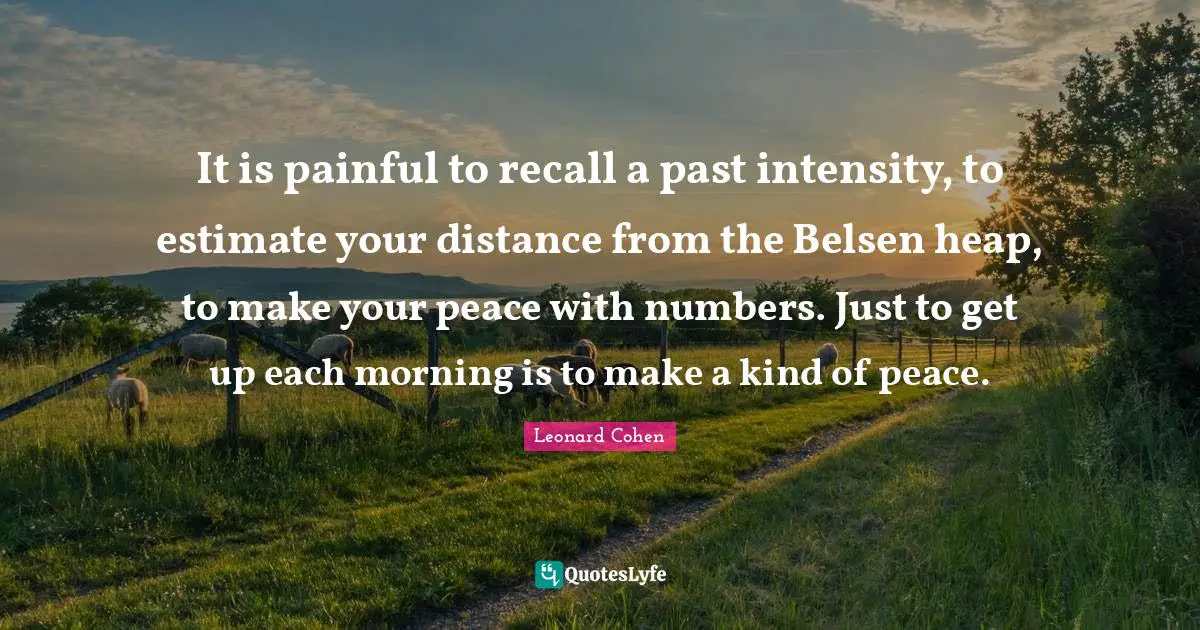 It is painful to recall a past intensity, to estimate your distance from the Belsen heap, to make your peace with numbers. Just to get up each morning is to make a kind of peace.