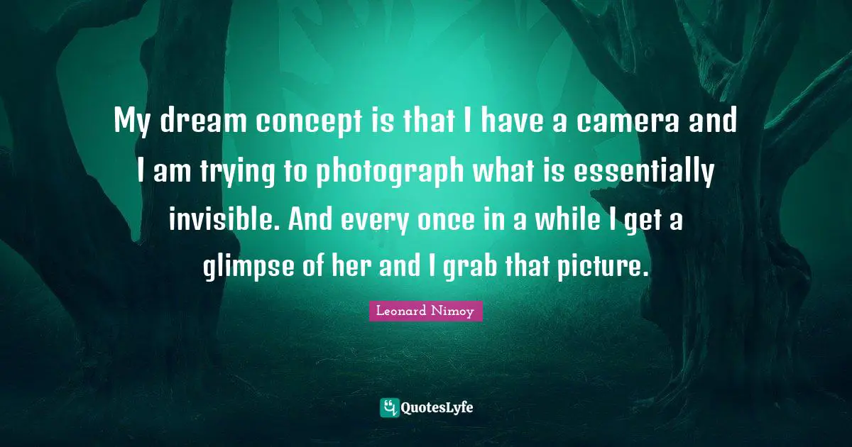 My dream concept is that I have a camera and I am trying to photograph what is essentially invisible. And every once in a while I get a glimpse of her and I grab that picture.