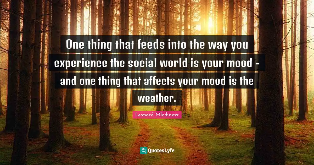 One thing that feeds into the way you experience the social world is your mood - and one thing that affects your mood is the weather.