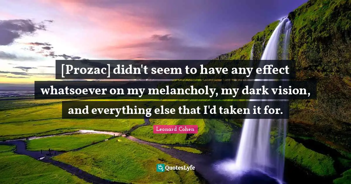 [Prozac] didn't seem to have any effect whatsoever on my melancholy, my dark vision, and everything else that I'd taken it for.