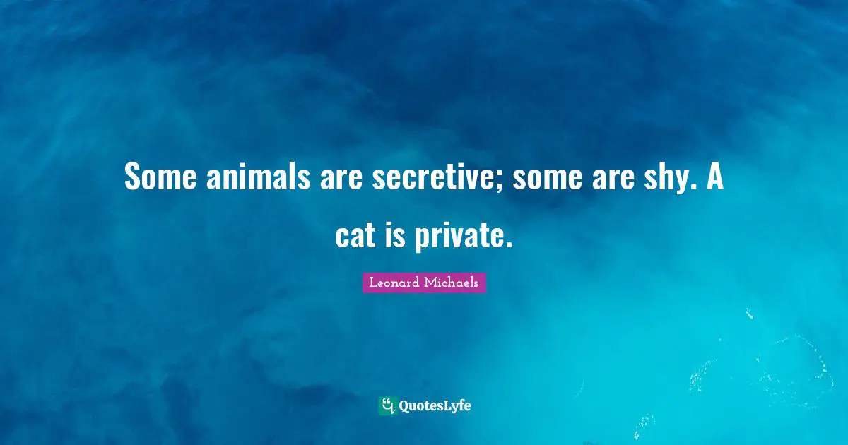 Some animals are secretive; some are shy. A cat is private.