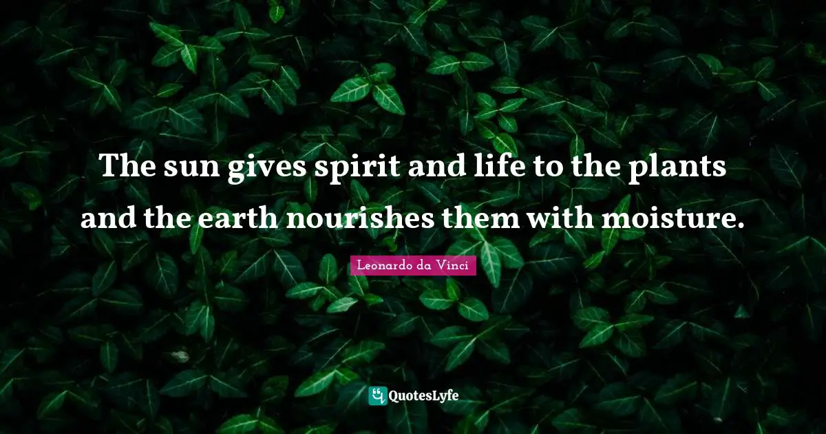 Moisture Quotes: "The sun gives spirit and life to the plants and the earth nourishes them with moisture."