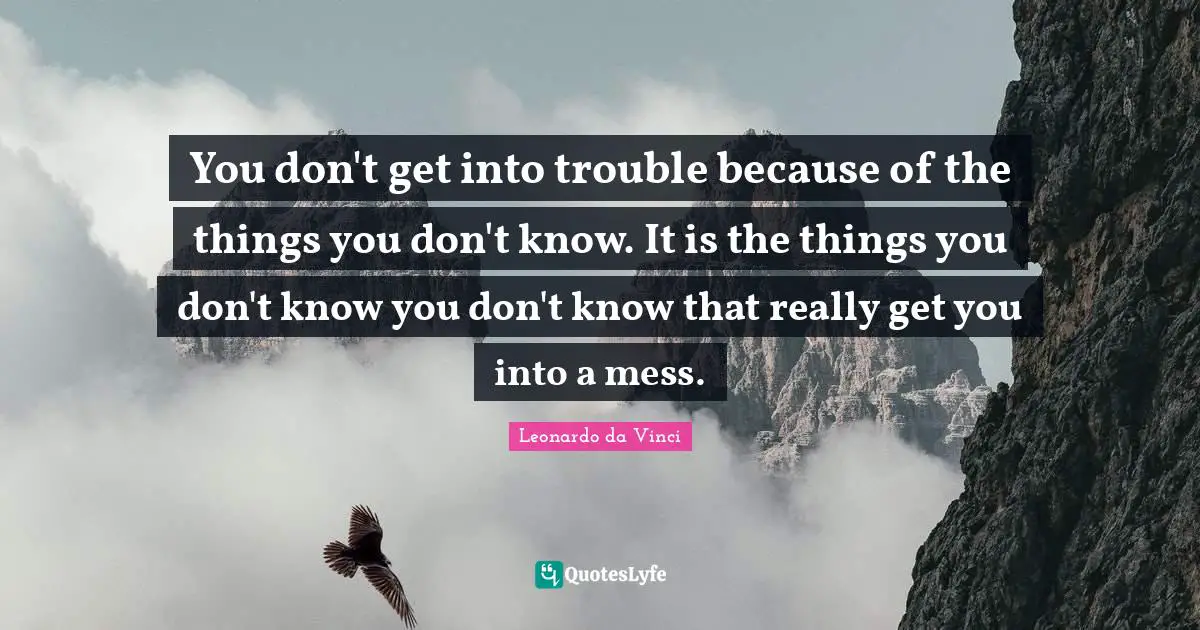 You don't get into trouble because of the things you don't know. It is the things you don't know you don't know that really get you into a mess.
