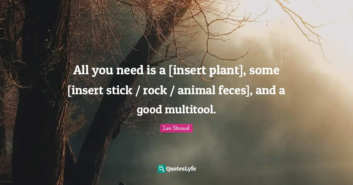 All you need is a [insert plant], some [insert stick / rock / animal feces], and a good multitool.