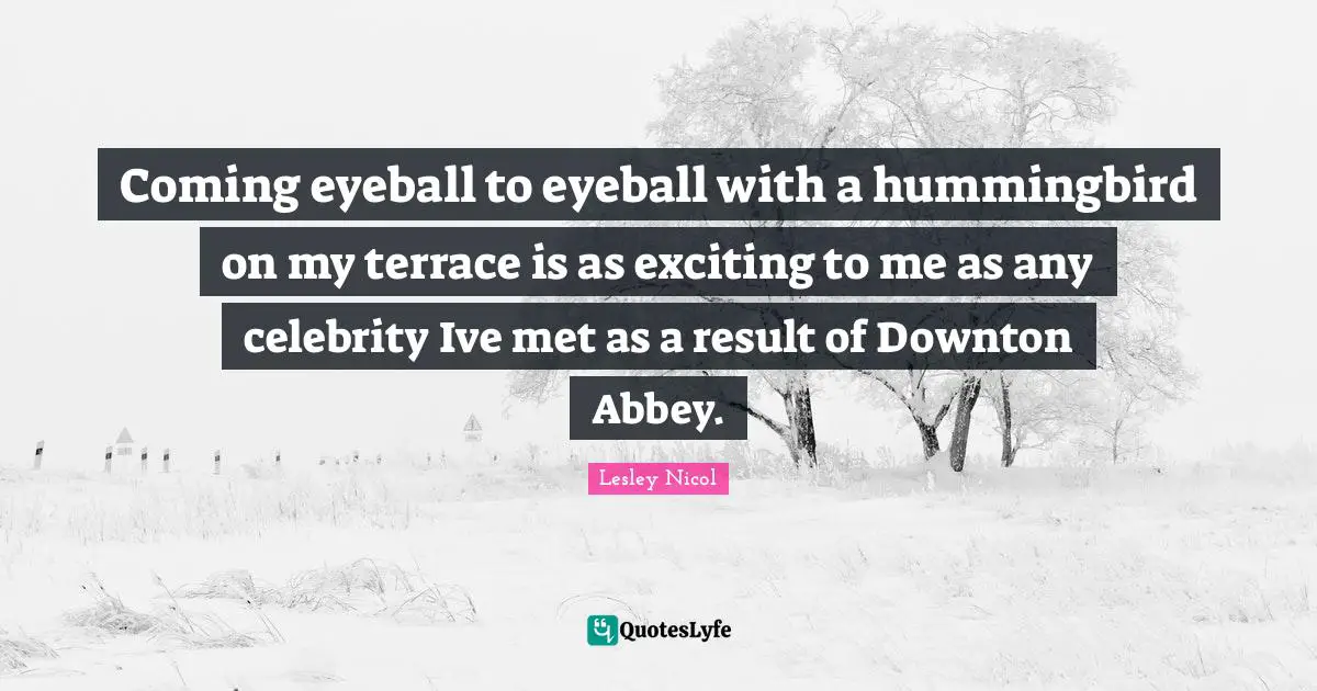 Coming eyeball to eyeball with a hummingbird on my terrace is as exciting to me as any celebrity Ive met as a result of Downton Abbey.