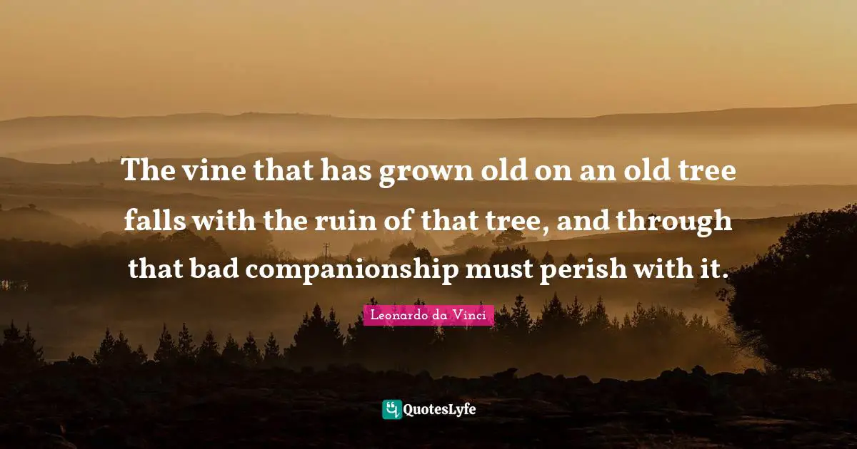 The vine that has grown old on an old tree falls with the ruin of that tree, and through that bad companionship must perish with it.