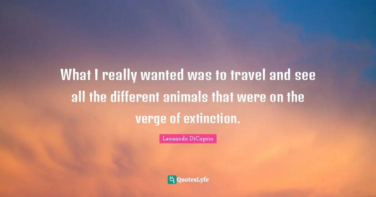 What I really wanted was to travel and see all the different animals that were on the verge of extinction.