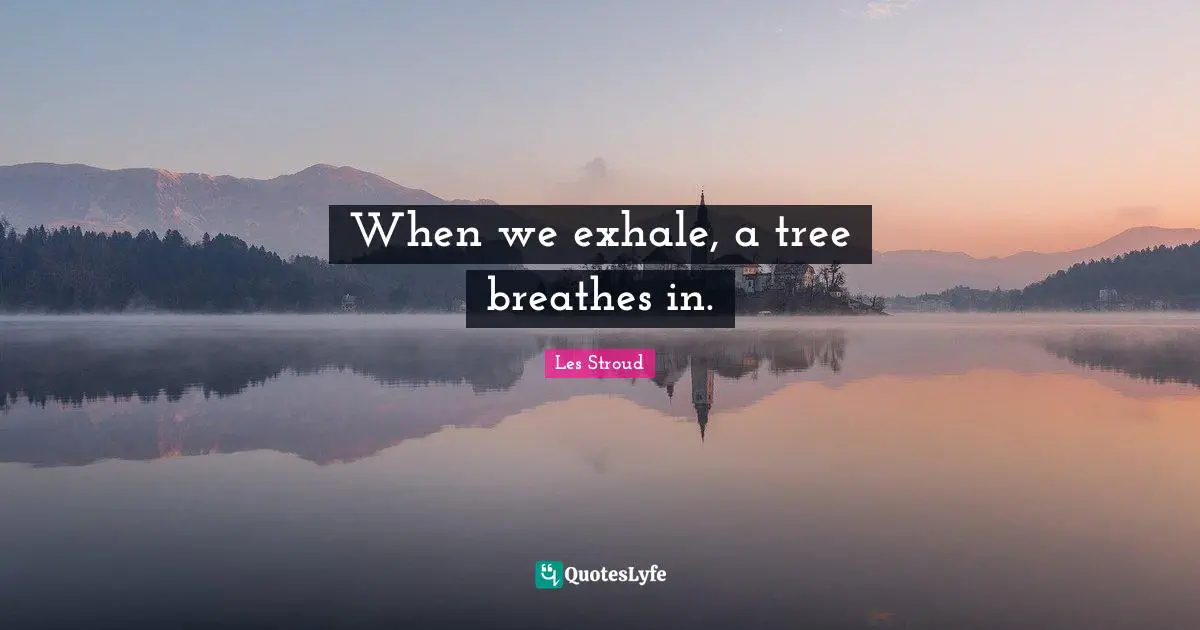 When we exhale, a tree breathes in.