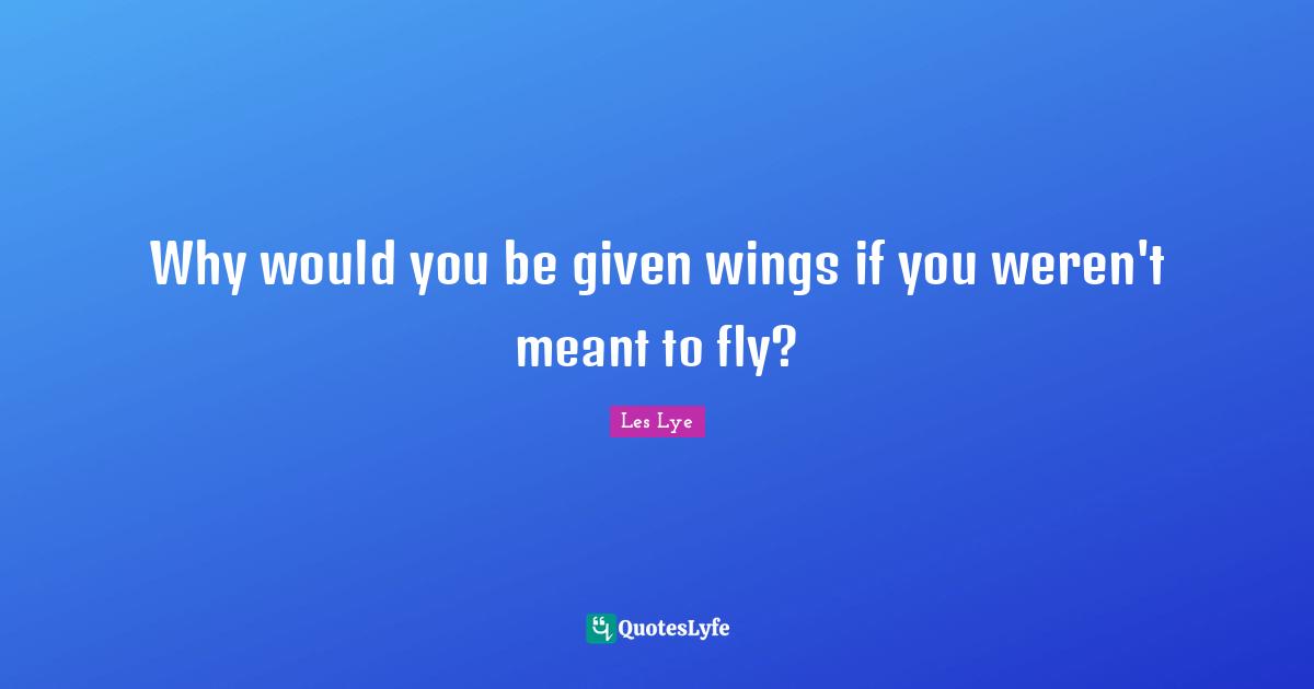 Why would you be given wings if you weren't meant to fly?