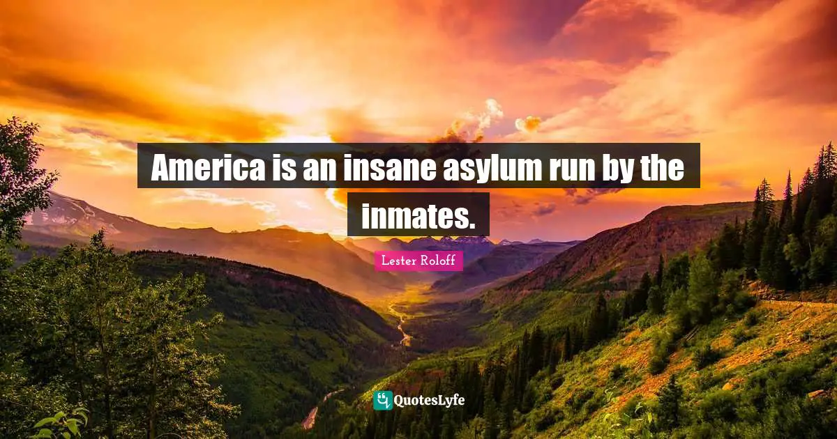 America is an insane asylum run by the inmates.