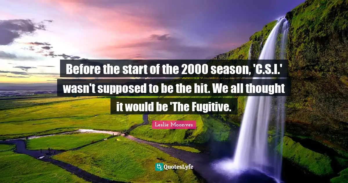 Before the start of the 2000 season, 'C.S.I.' wasn't supposed to be the hit. We all thought it would be 'The Fugitive.