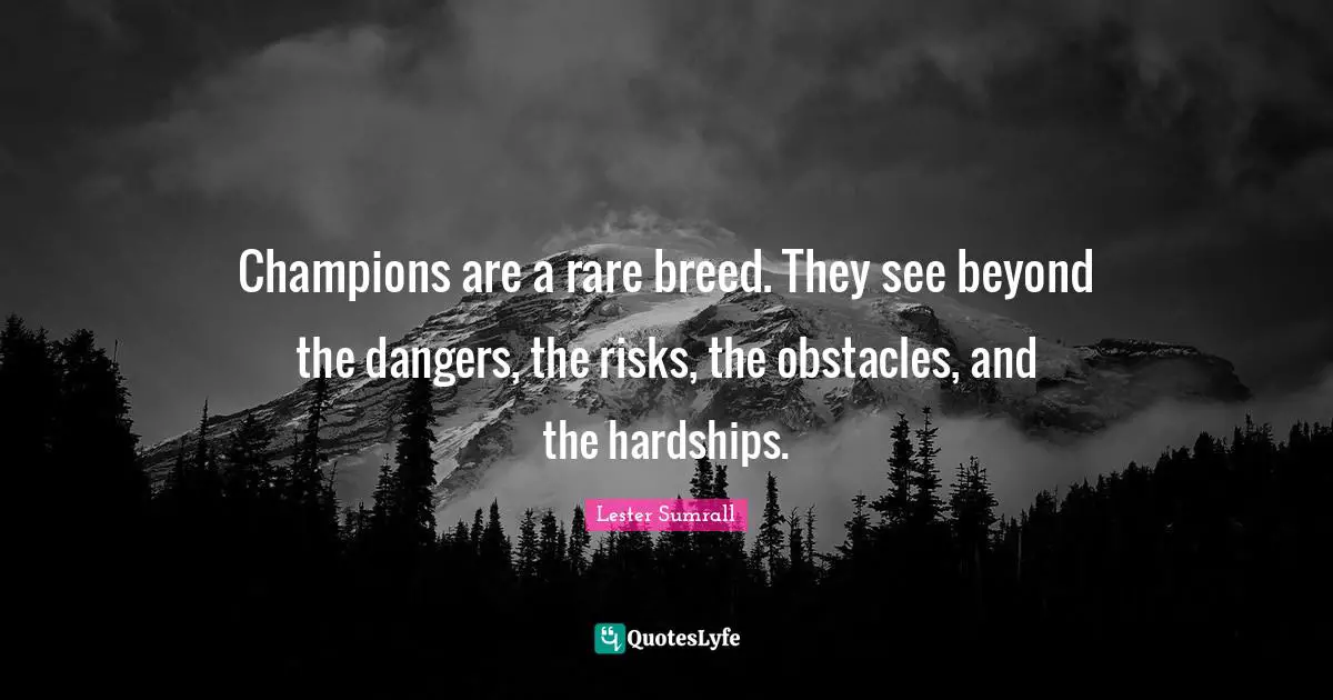 Obstacles Quotes: "Champions are a rare breed. They see beyond the dangers, the risks, the obstacles, and the hardships."