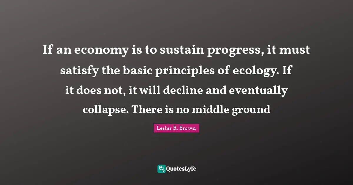 If an economy is to sustain progress, it must satisfy the basic principles of ecology. If it does not, it will decline and eventually collapse. There is no middle ground