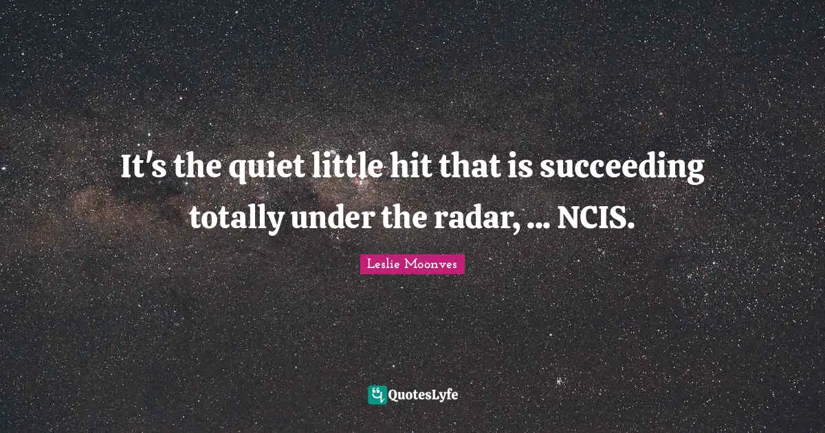 It's the quiet little hit that is succeeding totally under the radar, ... NCIS.