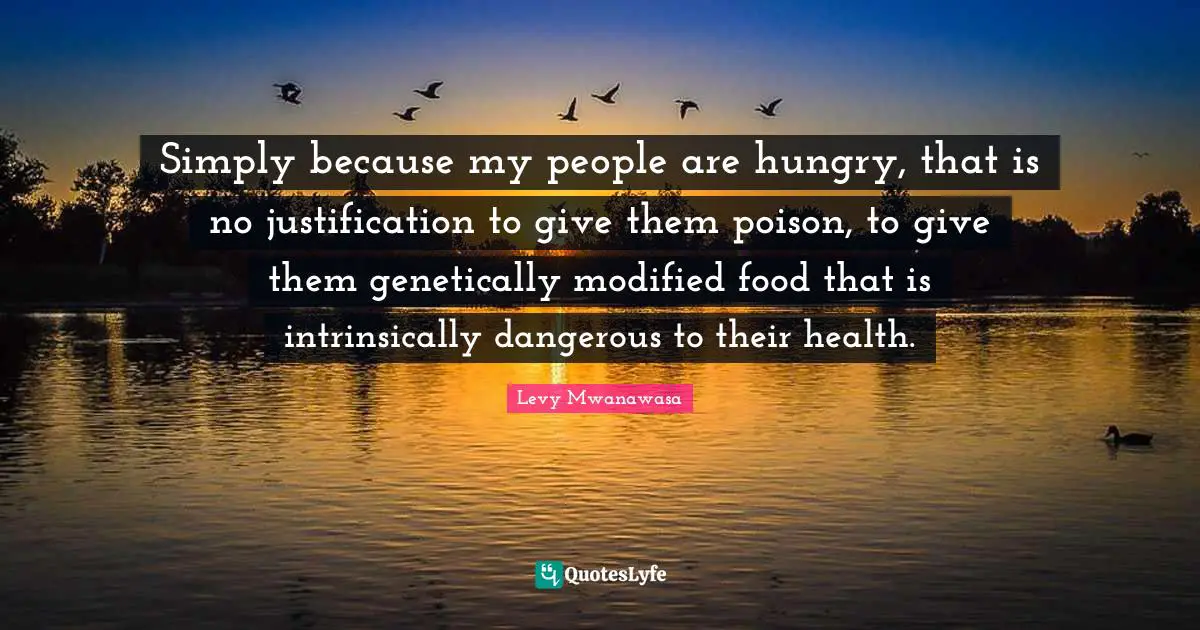 Simply because my people are hungry, that is no justification to give them poison, to give them genetically modified food that is intrinsically dangerous to their health.