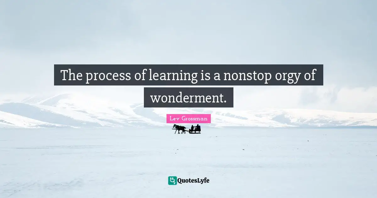 The process of learning is a nonstop orgy of wonderment.